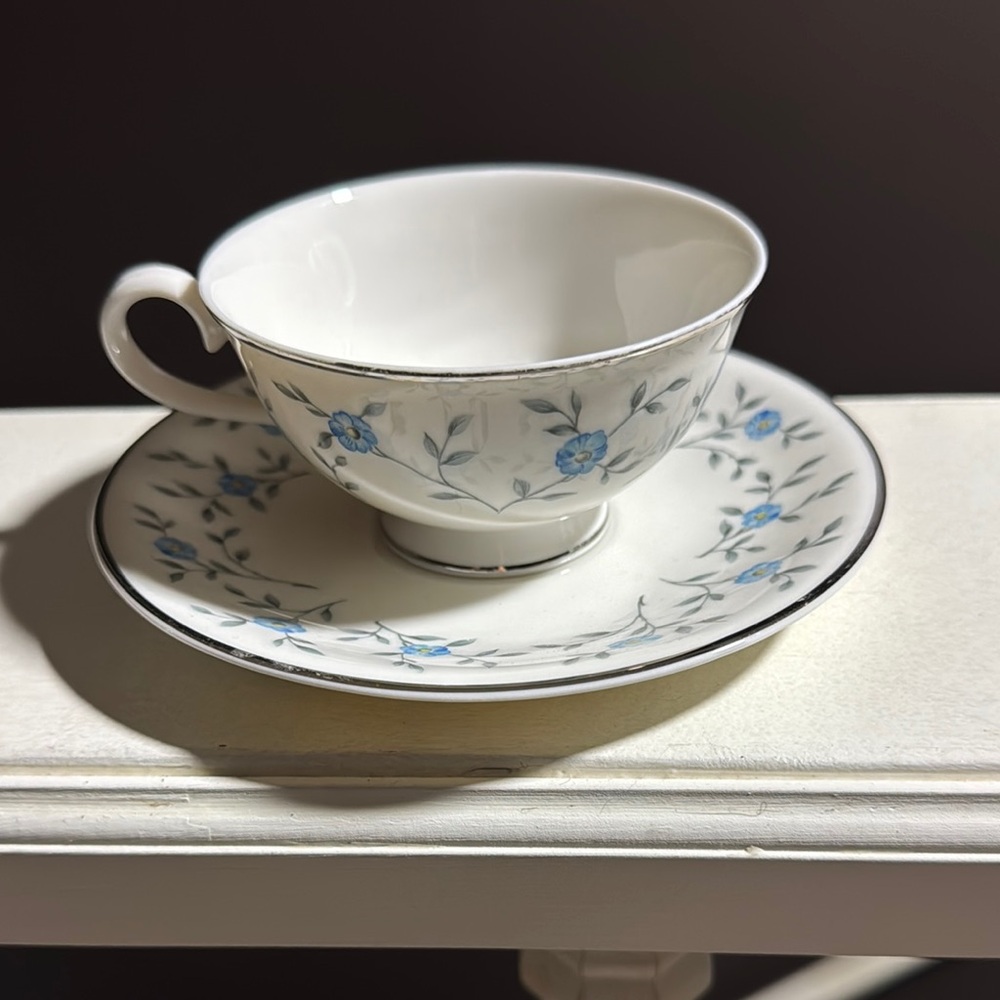 Floral Blue and White Teacup and Saucer Set